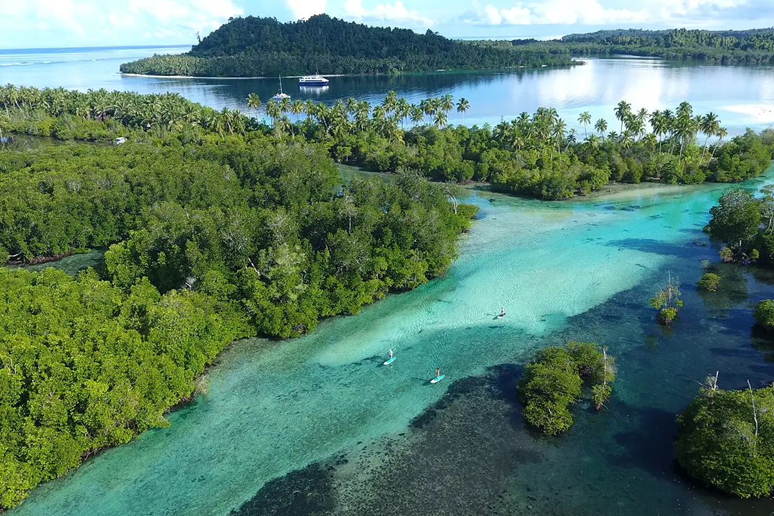Perfect Hideaways real estate property: People exploring a tropical island amongst the mangroves, a still bay in the background. Leleu Boutique Beach Villas, Mentawai.