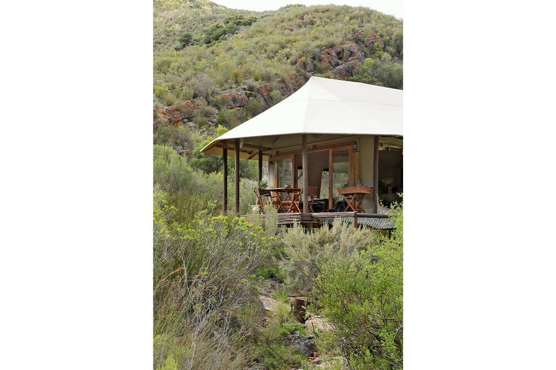 Perfect Hideaways real estate property: Tent nestled in lush greenery with a wooden deck featuring a table and chairs. The setting conveys a peaceful, secluded, and natural ambiance. Wolwehoek Private Nature Reserve, Montagu.