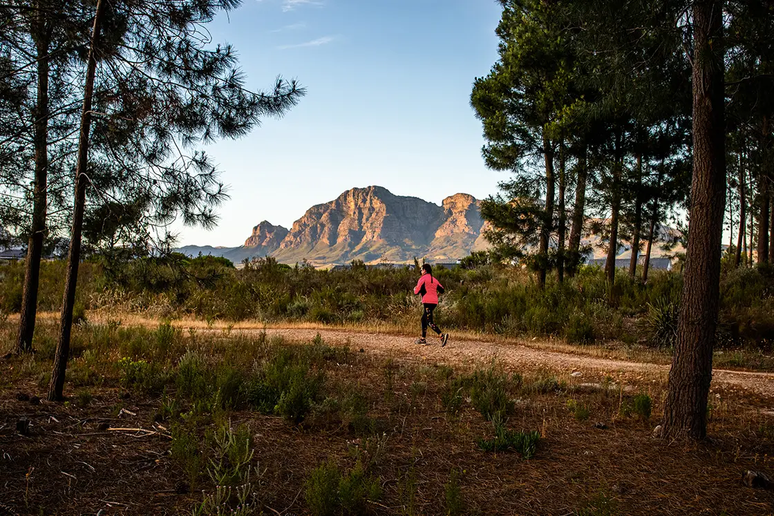 Perfect Hideaways property for sale: A person jogs on a dirt path in a forested area at sunset. They wear a bright pink jacket. Mountains loom in the background under a clear sky. Coral Tree House, Paarl.