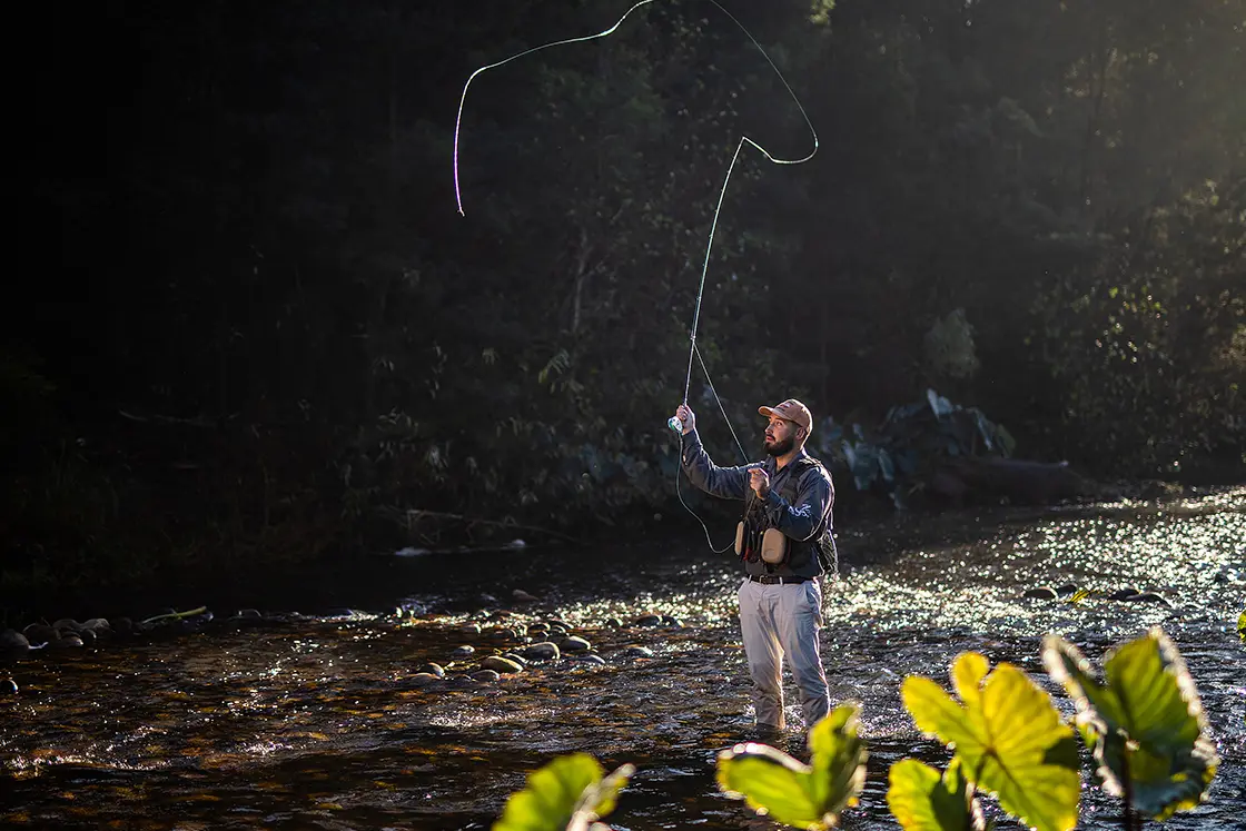 Perfect Hideaways property for sale: Man fly fishing in a sunlit river, surrounded by trees. He wears a cap and fishing gear, casting a line with a focused expression amid serene nature. Coral Tree House, Paarl.