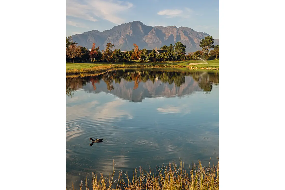 Perfect Hideaways property for sale: Calm pond reflecting distant mountains and trees under a blue sky. A duck swims near the foreground, surrounded by grasses, conveying serenity. Coral Tree House, Paarl.