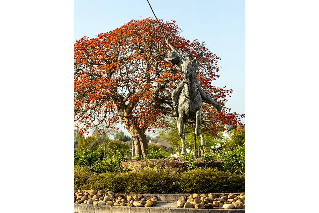 Perfect Hideaways property for sale: A statue of a horse and rider holding a lance, set against a vivid red-flowered tree. Surrounded by lush greenery, the scene feels majestic. Coral Tree House, Paarl.