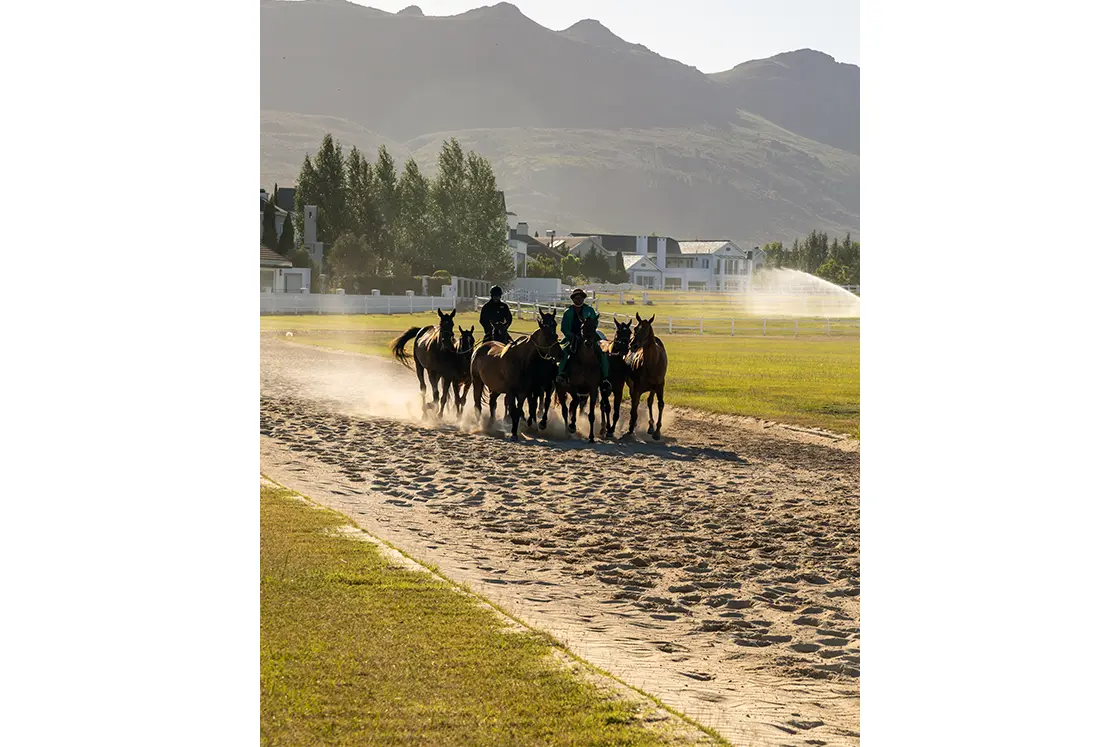 Perfect Hideaways property for sale: Two riders lead a group of horses on a sandy track. Green pastures and white houses are in the background, with mountains under a clear sky. Dust rises as they move. Coral Tree House, Paarl.