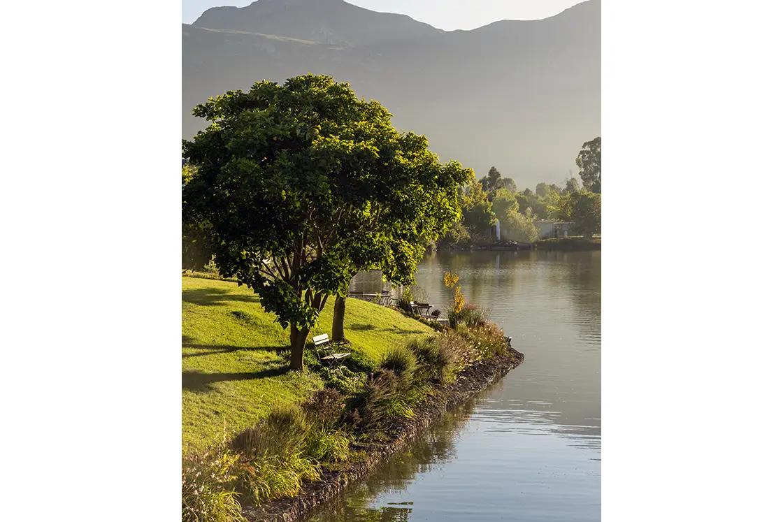 Perfect Hideaways property for sale: Tranquil lakeside scene with a lush green tree and a wooden bench on grassy bank, mountains in the background, reflecting a serene morning light. Coral Tree House, Paarl.