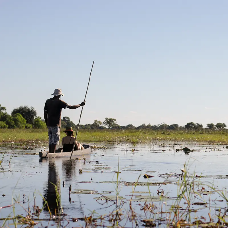 Perfect Hideaways real estate property: Two people in a canoe glide through tranquil waters on a sunny day, surrounded by lush greenery and a clear sky. One person stands, steering with a long pole. Little Pan Private Camp, Okavango Delta.