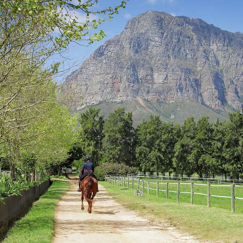 Perfect Hideaways real estate property: A horseback rider on a dirt path surrounded by lush greenery and wooden fences, heading towards a towering, sunlit mountain under a clear blue sky. Waterkloof Equestrian Farm, Paarl.
