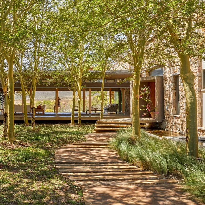 Perfect Hideaways real estate property: A serene courtyard with a stone path leads to a glass-walled building, surrounded by lush trees and grasses. Warm sunlight creates a tranquil atmosphere. Tortoise Hill, Robertson.