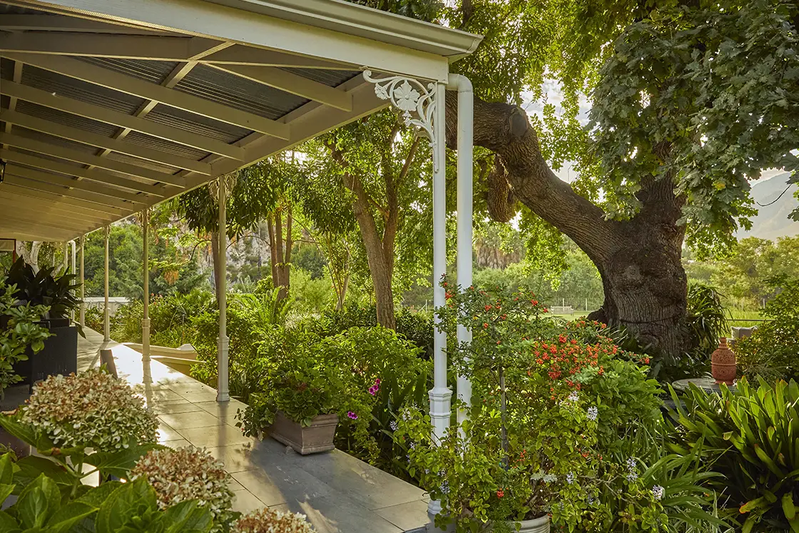 Perfect Hideaways real estate property: A landscaped garden with various plants and flowers, featuring a covered porch with decorative supports and a large tree in the background under soft sunlight. Montagu, Montagu Vines Guesthouse.