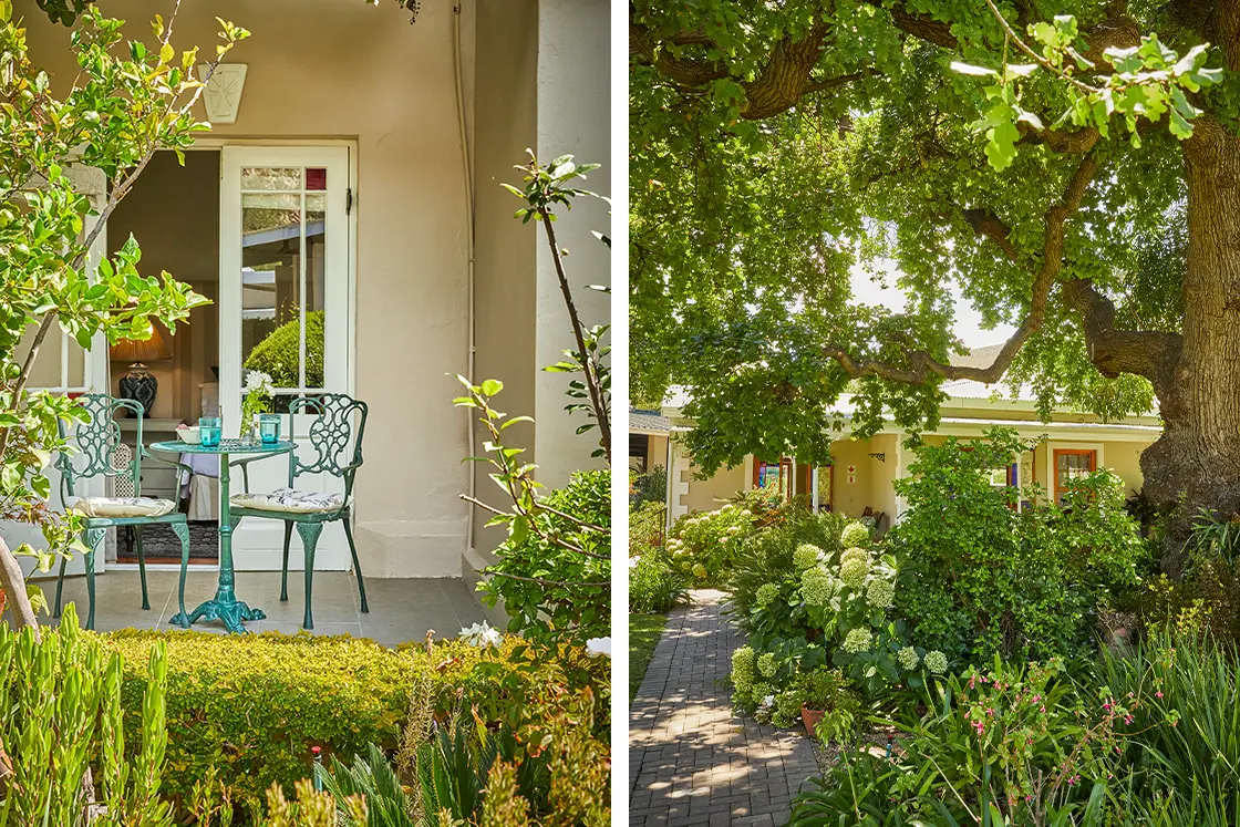 Perfect Hideaways real estate property: A charming outdoor seating area with ornate metal chairs and a table, surrounded by lush greenery, and a pathway leading to a house bordered by various plants and trees. Montagu, Montagu Vines Guesthouse.
