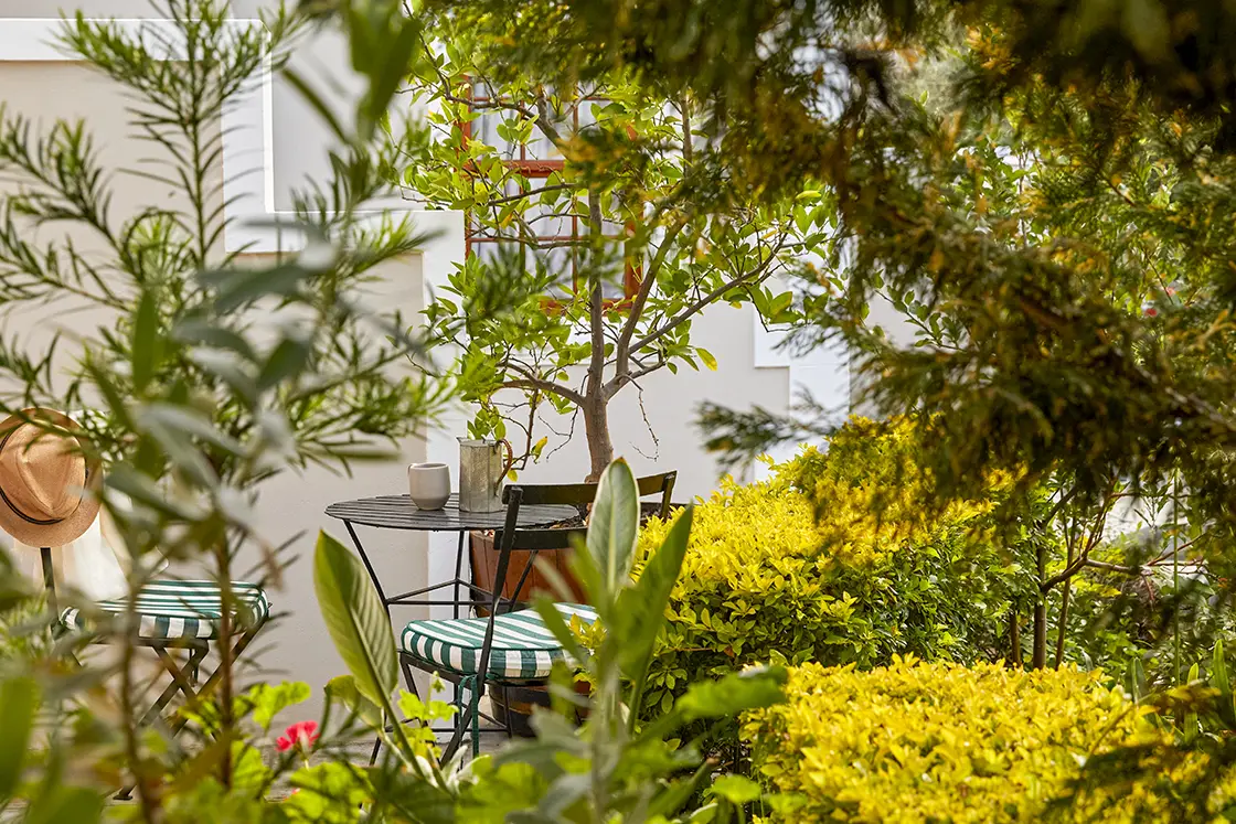 Perfect Hideaways real estate property: A peaceful garden scene with a table and chairs partially obscured by greenery. Montagu, Montagu Vines Guesthouse.