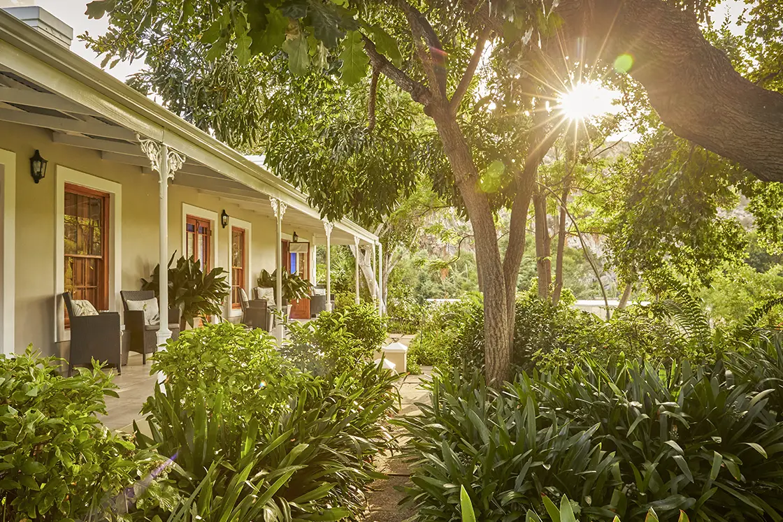 Perfect Hideaways real estate property: A serene garden setting with a pathway leading to a house, surrounded by lush greenery and trees, with sunlight filtering through. Montagu, Montagu Vines Guesthouse.