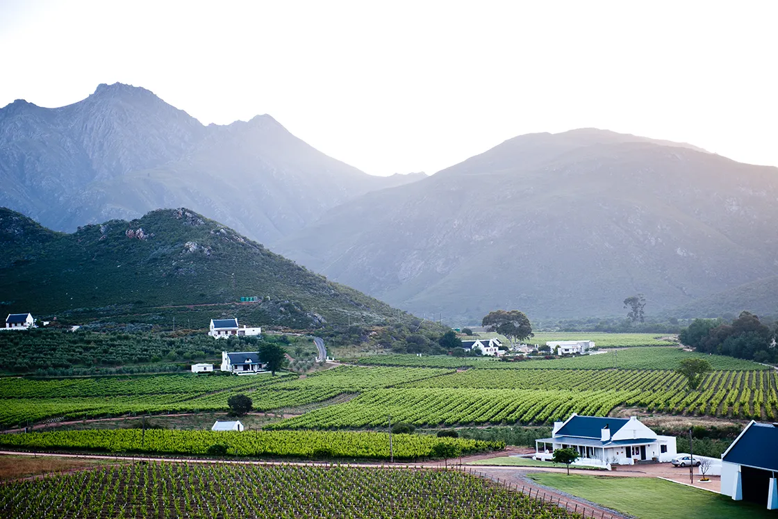 Perfect Hideaways real estate property: Scenic landscape of a tranquil vineyard, with lush green rows, white farmhouses, and majestic mountains under a soft, hazy sky at sunrise. Cloeten Farm & Guest Cottages, Robertson.