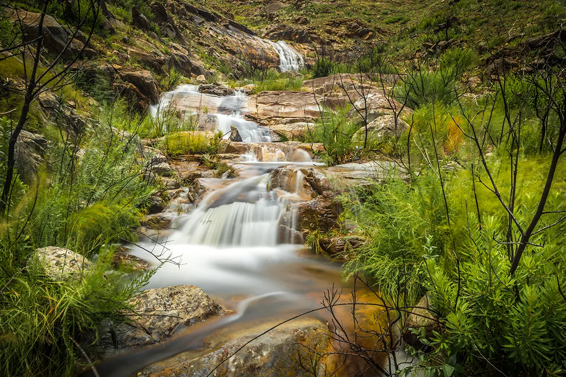 Perfect Hideaways real estate property: A serene waterfall flows over moss-covered rocks surrounded by lush green foliage. The cascading water creates a peaceful, natural atmosphere. Cloeten Farm & Guest Cottages, Robertson.