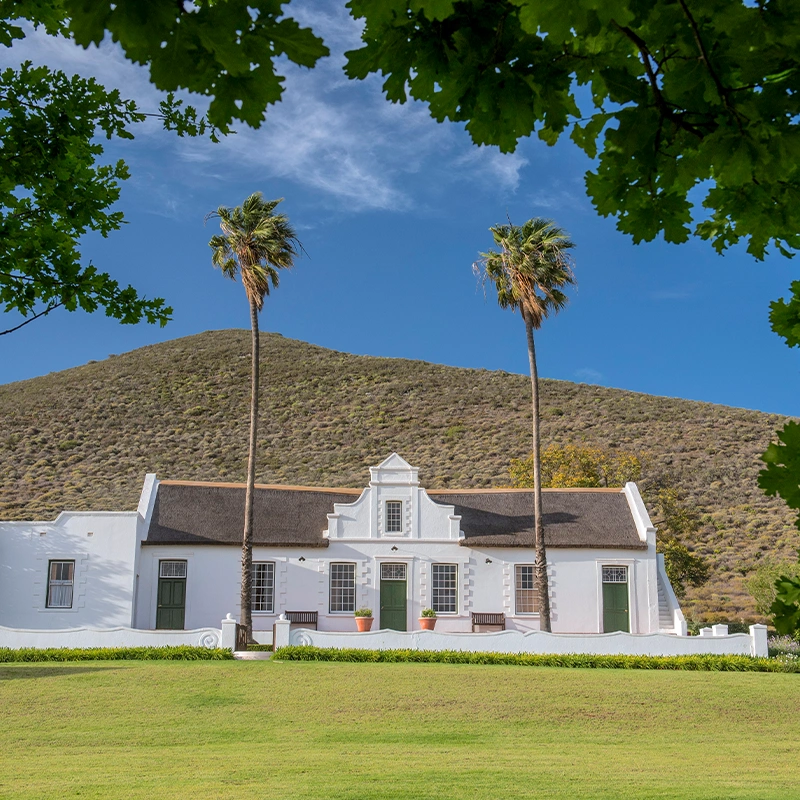 Perfect Hideaways real estate property: Elegant Cape Dutch farmhouse framed by leafy trees and towering palms, set against rolling hills under a clear blue sky. Whitewashed walls and historic gables create a timeless countryside scene in the Nuy Valley. Aurelia Wine & Country Estate, Robertson.