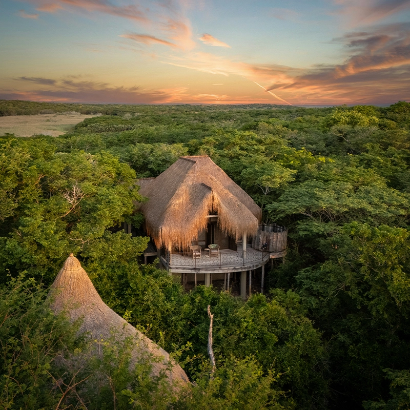 Perfect Hideaways Real Estate: Square aerial view of thatched roofs and a wraparound deck above a forest canopy beneath a pastel sunset sky, House Marape, The Sanctuary